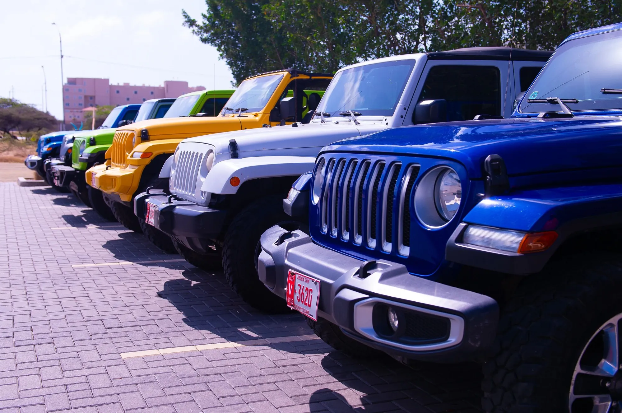 EFE Jeep Wranglers parked in a row, ready for pickup